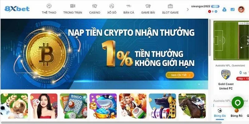 Tổng quan thông tin về chúng tôi 8XBET 
